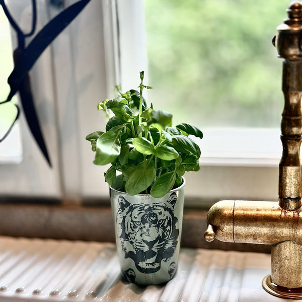 Ljusgrön mugg från serien ‘Coco-Tiger’ av Lisa Bengtsson – används som örtkruka med basilika i porslinsho med skavd guldkran och spröjsat fönster